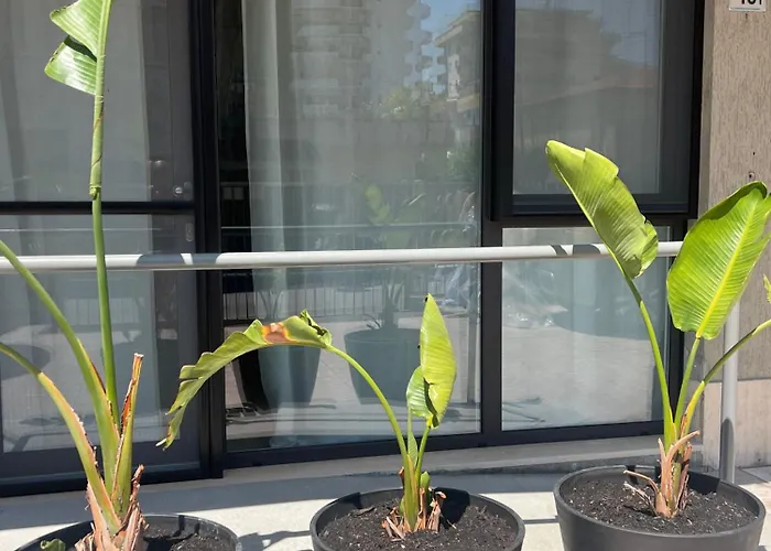 Libeccio&levante Apartamento